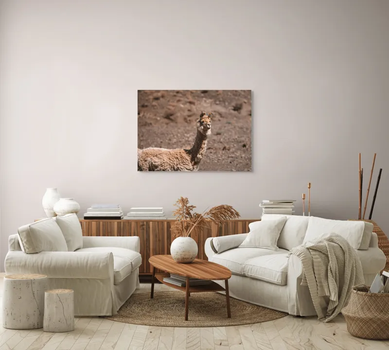Tablou Canvas, "Lama în deșertul pietros al Anzilor", Nu pot să spun cine sau ce este în imagine., 100 x 70 cm – poza 3