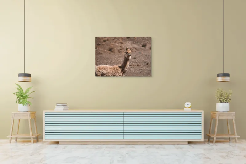 Tablou Canvas, "Lama în deșertul pietros al Anzilor", Nu pot să spun cine sau ce este în imagine., 100 x 70 cm – poza 4