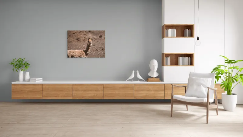 Tablou Canvas, "Lama în deșertul pietros al Anzilor", Nu pot să spun cine sau ce este în imagine., 100 x 70 cm – poza 6