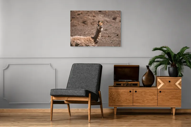 Tablou Canvas, "Lama în deșertul pietros al Anzilor", Nu pot să spun cine sau ce este în imagine., 100 x 70 cm – poza 8