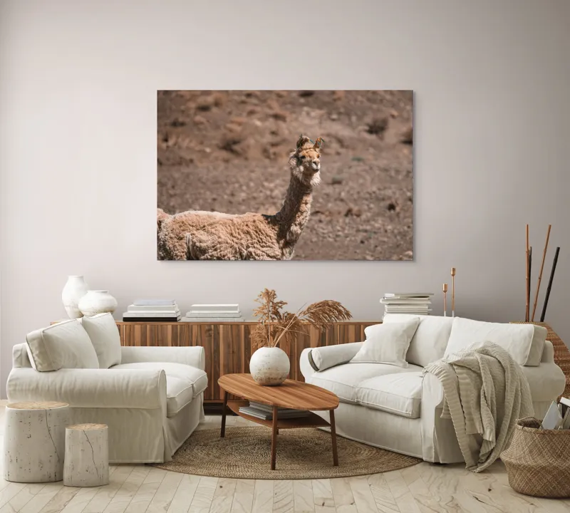 Tablou Canvas, "Lama în deșertul pietros al Anzilor", Nu pot să spun cine sau ce este în imagine., 150 x 100 cm – poza 3