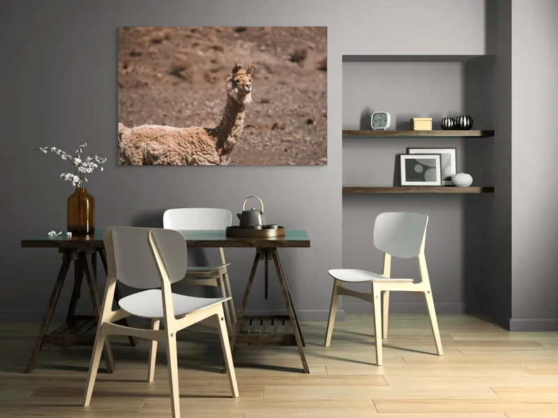 Tablou Canvas, "Lama în deșertul pietros al Anzilor", Nu pot să spun cine sau ce este în imagine., 150 x 100 cm – poza 5