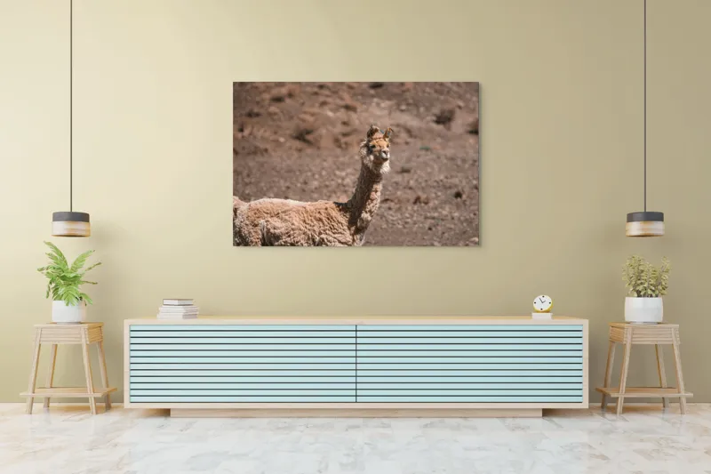 Tablou Canvas, "Lama în deșertul pietros al Anzilor", Nu pot să spun cine sau ce este în imagine., 150 x 100 cm – poza 6
