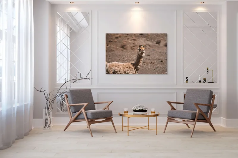 Tablou Canvas, "Lama în deșertul pietros al Anzilor", Nu pot să spun cine sau ce este în imagine., 150 x 100 cm – poza 7