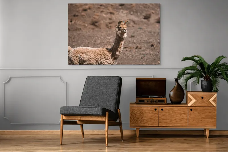 Tablou Canvas, "Lama în deșertul pietros al Anzilor", Nu pot să spun cine sau ce este în imagine., 150 x 100 cm – poza 8