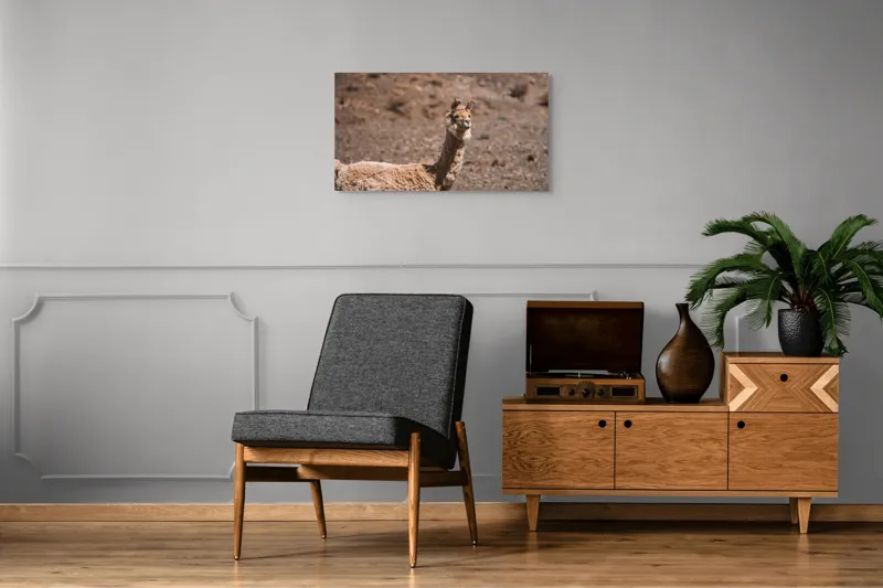 Tablou Canvas, "Lama în deșertul pietros al Anzilor", 90 x 50 cm – poza 6