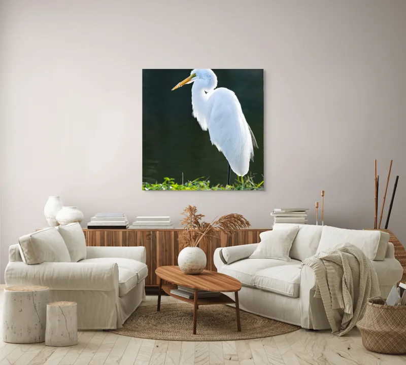 Tablou Canvas, "Egreta albă în lumina dimineții", Egret, Elegance, Plumage, Reflection, Nature, 100 x 100 cm – poza 3