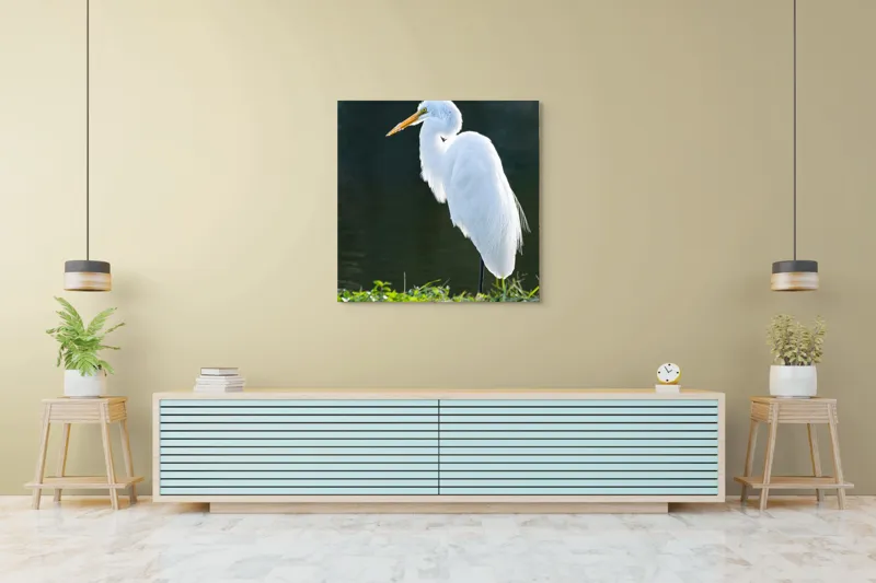 Tablou Canvas, "Egreta albă în lumina dimineții", Egret, Elegance, Plumage, Reflection, Nature, 100 x 100 cm – poza 5