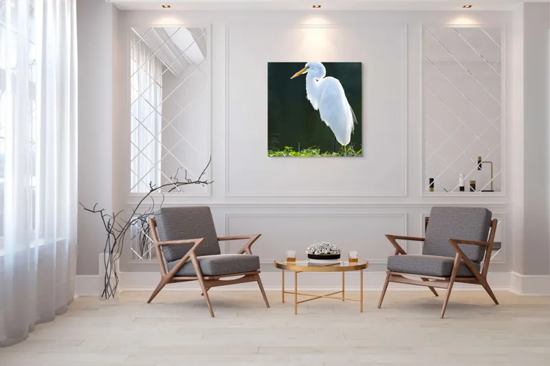Tablou Canvas, "Egreta albă în lumina dimineții", Egret, Elegance, Plumage, Reflection, Nature, 100 x 100 cm – poza 7