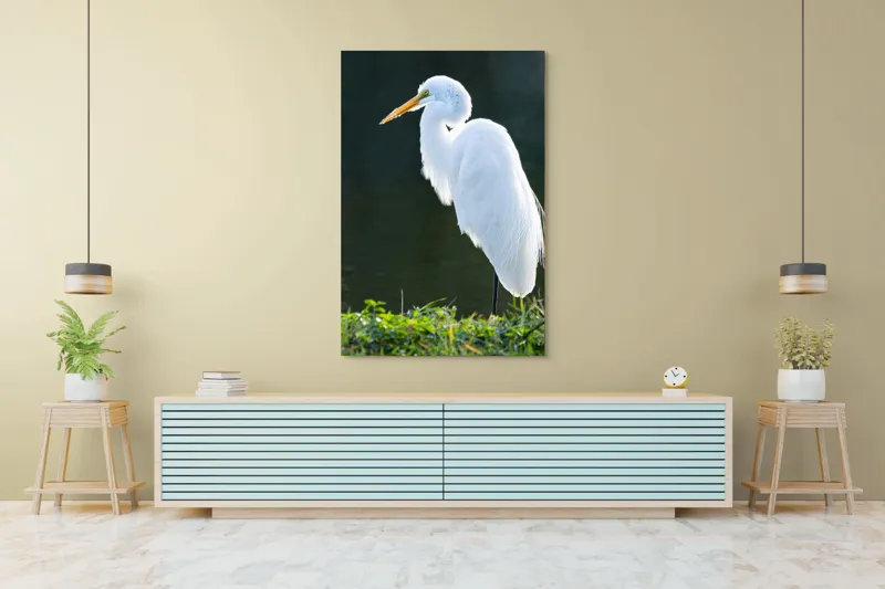 Tablou Canvas, "Egreta albă în lumina dimineții", Egret, Elegance, Plumage, Reflection, Nature, 100 x 150 cm – poza 4