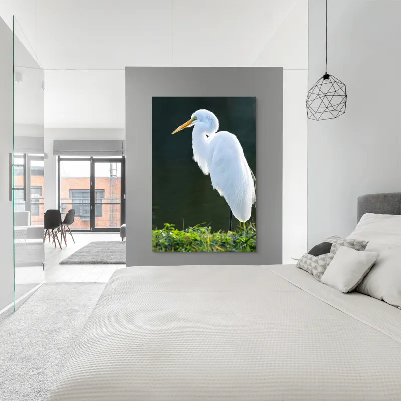 Tablou Canvas, "Egreta albă în lumina dimineții", Egret, Elegance, Plumage, Reflection, Nature, 100 x 150 cm – poza 5