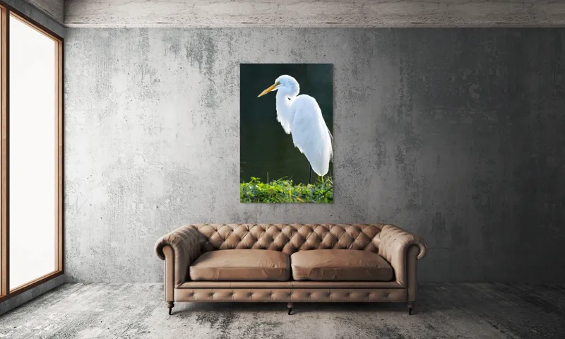 Tablou Canvas, "Egreta albă în lumina dimineții", Egret, Elegance, Plumage, Reflection, Nature, 100 x 150 cm – poza 6