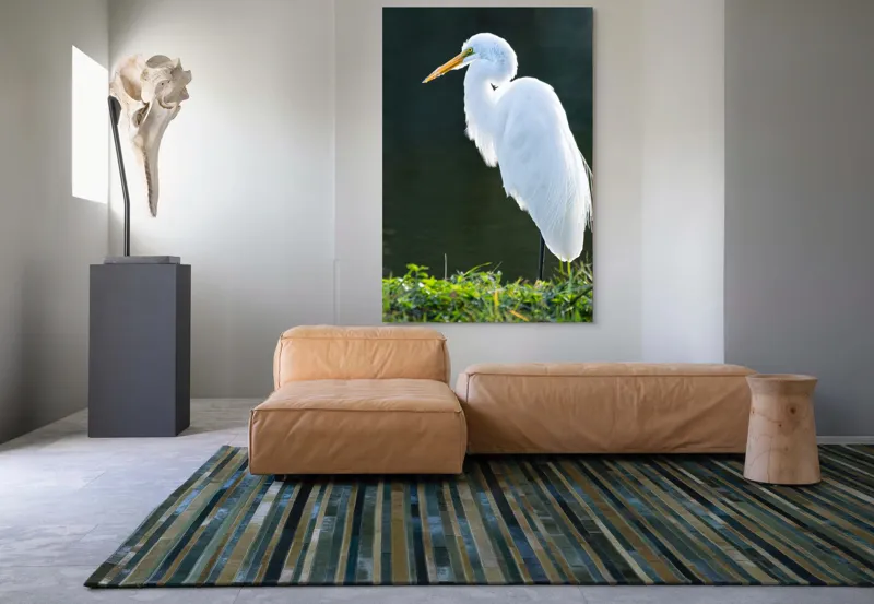 Tablou Canvas, "Egreta albă în lumina dimineții", Egret, Elegance, Plumage, Reflection, Nature, 100 x 150 cm – poza 7