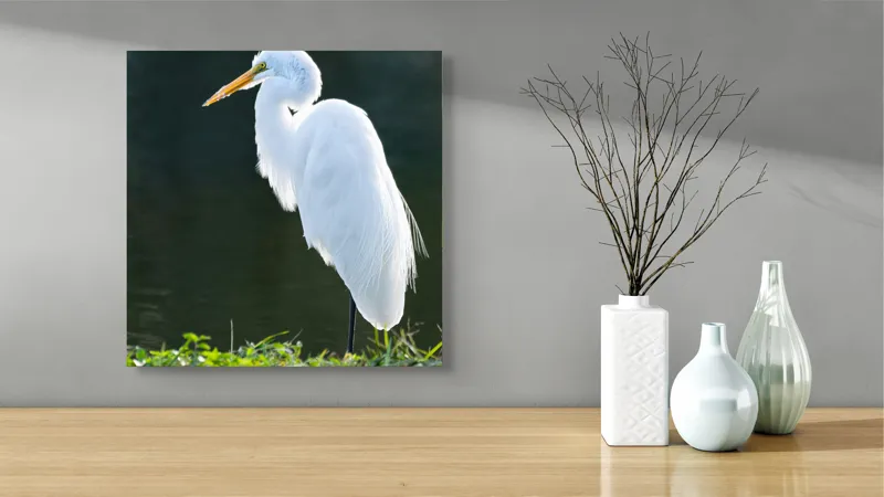 Tablou Canvas, "Egreta albă în lumina dimineții", Egret, Elegance, Plumage, Reflection, Nature, 50 x 50 cm – poza 3
