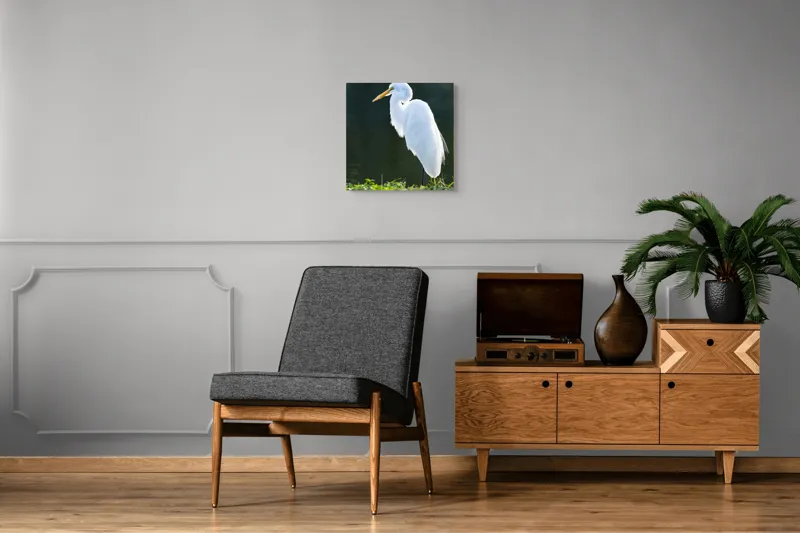 Tablou Canvas, "Egreta albă în lumina dimineții", Egret, Elegance, Plumage, Reflection, Nature, 50 x 50 cm – poza 6