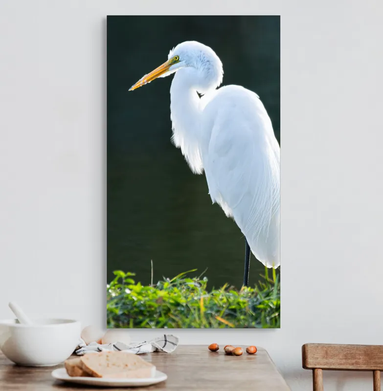 Tablou Canvas, "Egreta albă în lumina dimineții", Egret, Elegance, Plumage, Reflection, Nature, 50 x 90 cm – poza 3