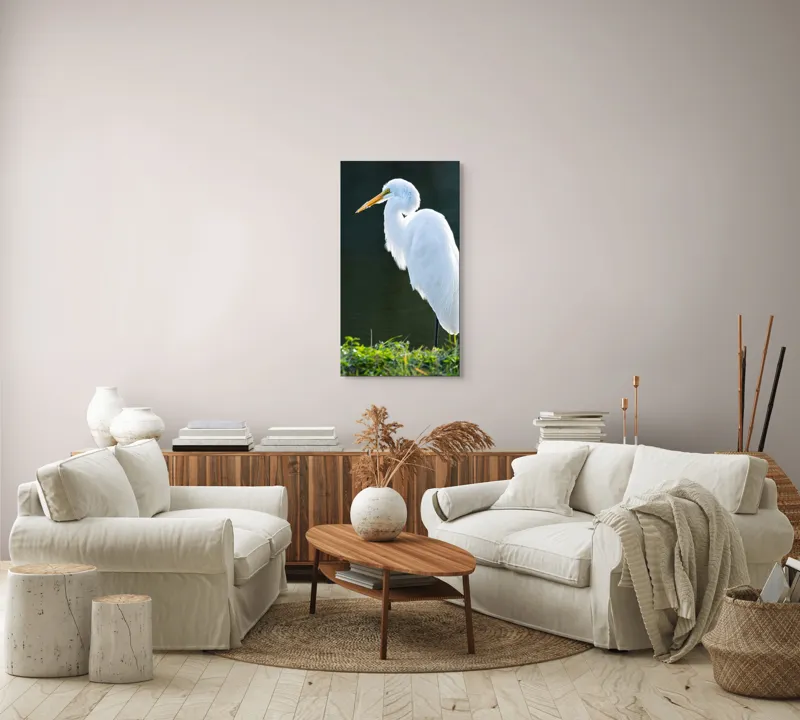 Tablou Canvas, "Egreta albă în lumina dimineții", Egret, Elegance, Plumage, Reflection, Nature, 50 x 90 cm – poza 7