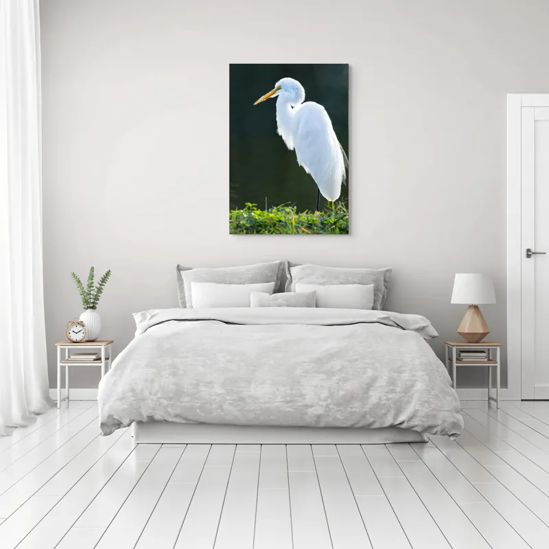 Tablou Canvas, "Egreta albă în lumina dimineții", Egret, Elegance, Plumage, Reflection, Nature, 70 x 100 cm – poza 3