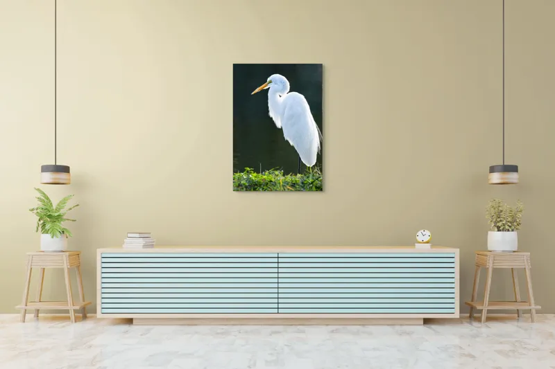 Tablou Canvas, "Egreta albă în lumina dimineții", Egret, Elegance, Plumage, Reflection, Nature, 70 x 100 cm – poza 5