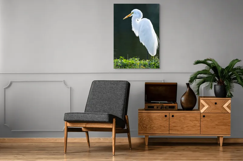 Tablou Canvas, "Egreta albă în lumina dimineții", Egret, Elegance, Plumage, Reflection, Nature, 70 x 100 cm – poza 6