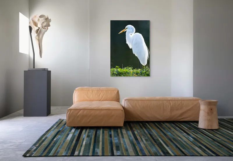 Tablou Canvas, "Egreta albă în lumina dimineții", Egret, Elegance, Plumage, Reflection, Nature, 70 x 100 cm – poza 7
