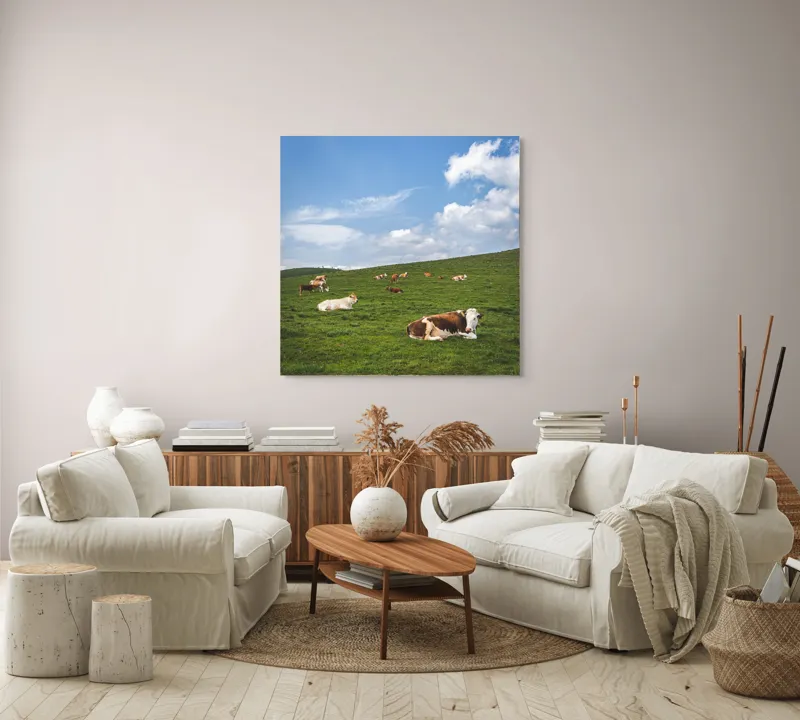 Tablou Canvas, "Vaci odihnindu-se pe deal verde", Nori, Cer, Vaci, Pajiște, Verde, Albastru, Relaxare, Natură, Peisaj, Liniște, 100 x 100 cm – poza 3