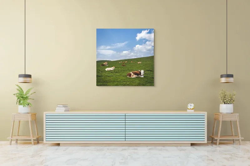 Tablou Canvas, "Vaci odihnindu-se pe deal verde", Nori, Cer, Vaci, Pajiște, Verde, Albastru, Relaxare, Natură, Peisaj, Liniște, 100 x 100 cm – poza 5