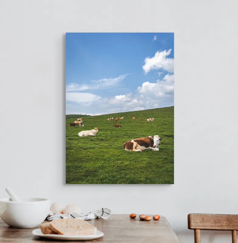 Tablou Canvas, "Vaci odihnindu-se pe deal verde", Nori, Cer, Vaci, Pajiște, Verde, Albastru, Relaxare, Natură, Peisaj, Liniște, 50 x 70 cm – poza 3