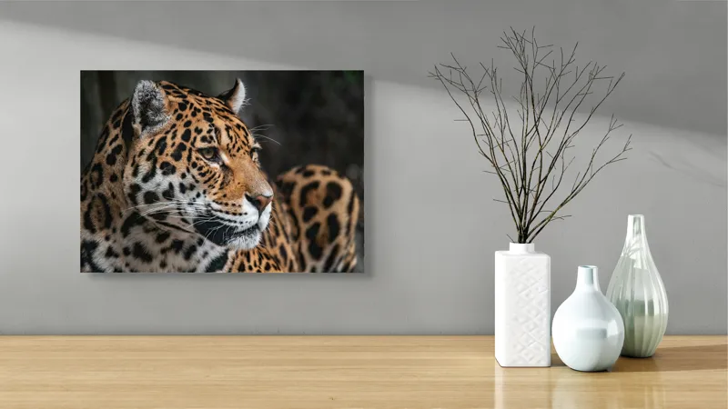 Tablou Canvas, "Privirea enigmatică a jaguarului", Jaguar, Blană, Pete, Ochi, Majestuos, Natură, Vânat, Felină, 54 x 39 cm – poza 3