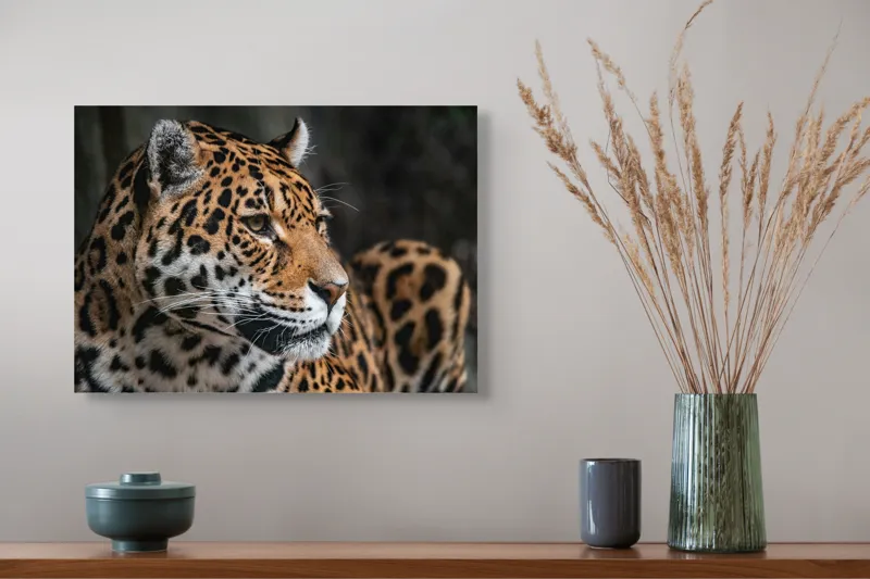 Tablou Canvas, "Privirea enigmatică a jaguarului", Jaguar, Blană, Pete, Ochi, Majestuos, Natură, Vânat, Felină, 54 x 39 cm – poza 4