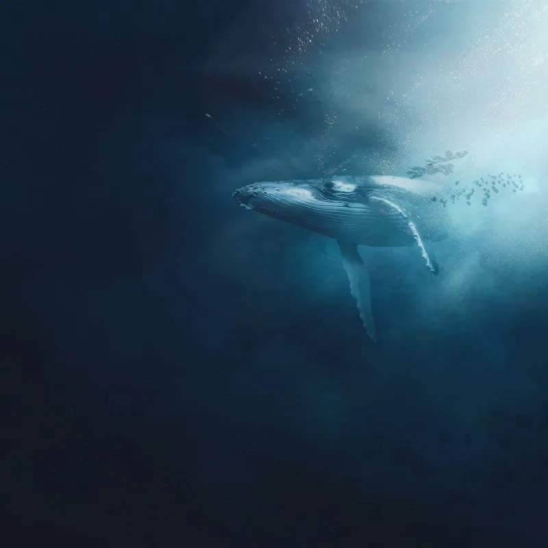 Tablou Canvas, "Balena dansând în lumina albastră", Albastru, Lumină, Balena, Ocean, Nemărginire, Mister, Grație, Profunzime, Frumusețe, Calm., 100 x 100 cm – poza 2