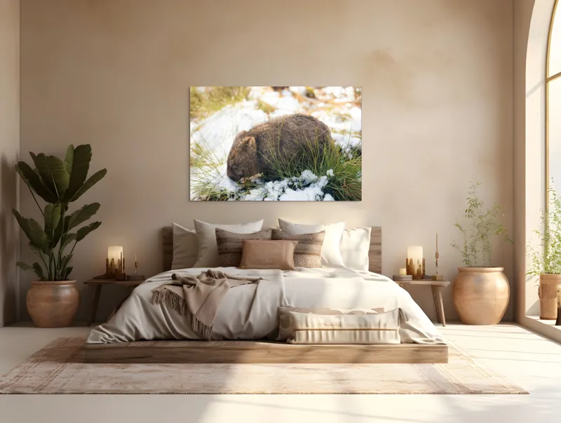 Tablou Canvas, "Wombat explorând zăpada și iarba", 150 x 100 cm – poza 4