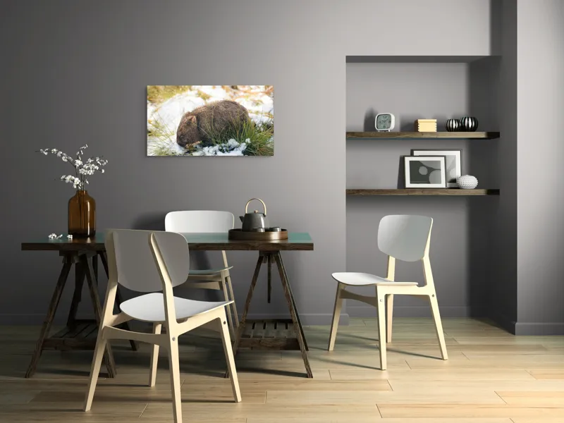 Tablou Canvas, "Wombat explorând zăpada și iarba", 90 x 50 cm – poza 3