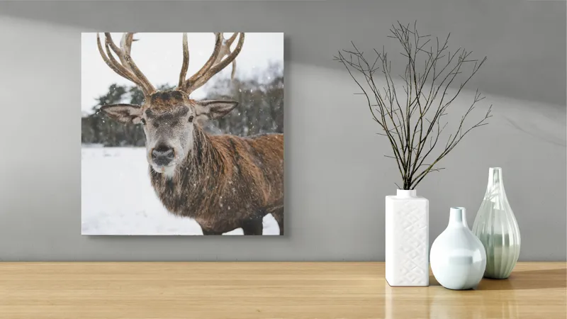 Tablou Canvas, "Regele pădurii în zăpadă liniștită", Majestic, Proud, Serene, Stately, Winter, Snow, Antlers, Graceful, 50 x 50 cm – poza 3