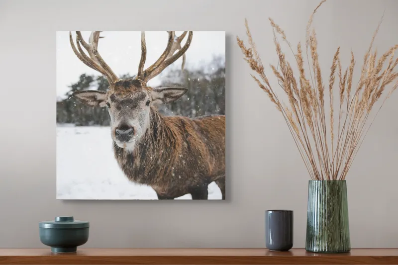 Tablou Canvas, "Regele pădurii în zăpadă liniștită", Majestic, Proud, Serene, Stately, Winter, Snow, Antlers, Graceful, 50 x 50 cm – poza 4