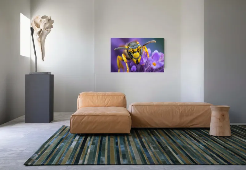 Tablou Canvas, "Viespe pe floare de lavandă", Albina, Flori, Culori, Natură, Macrofotografie, 90 x 50 cm – poza 8