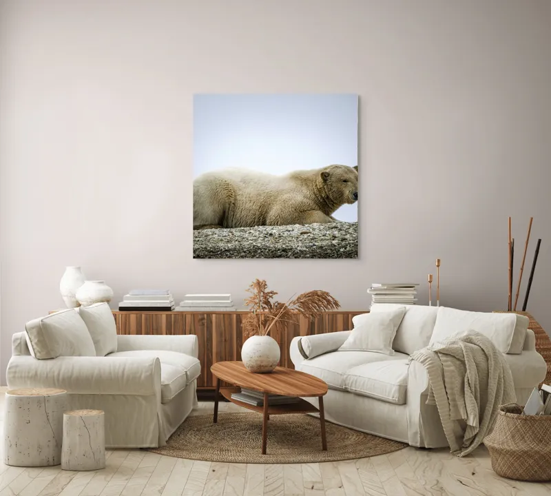 Tablou Canvas, "Urs polar odihnindu-se pe ghețar", 100 x 100 cm – poza 3