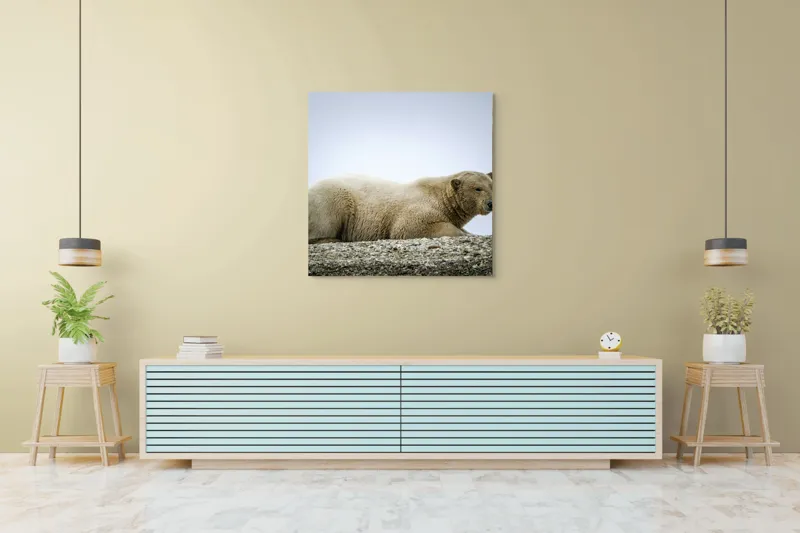 Tablou Canvas, "Urs polar odihnindu-se pe ghețar", 100 x 100 cm – poza 5