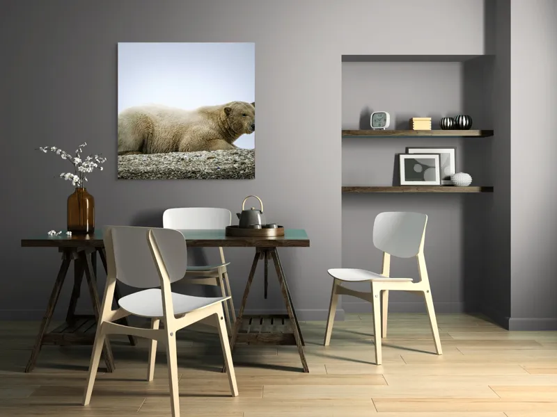 Tablou Canvas, "Urs polar odihnindu-se pe ghețar", 100 x 100 cm – poza 6