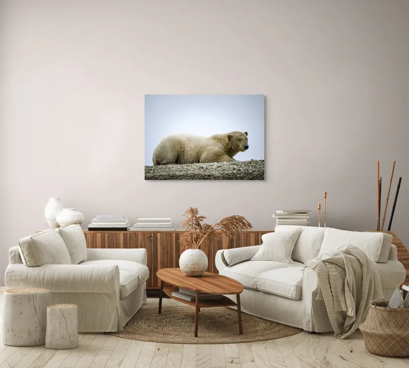 Tablou Canvas, "Urs polar odihnindu-se pe ghețar", 100 x 70 cm – poza 3