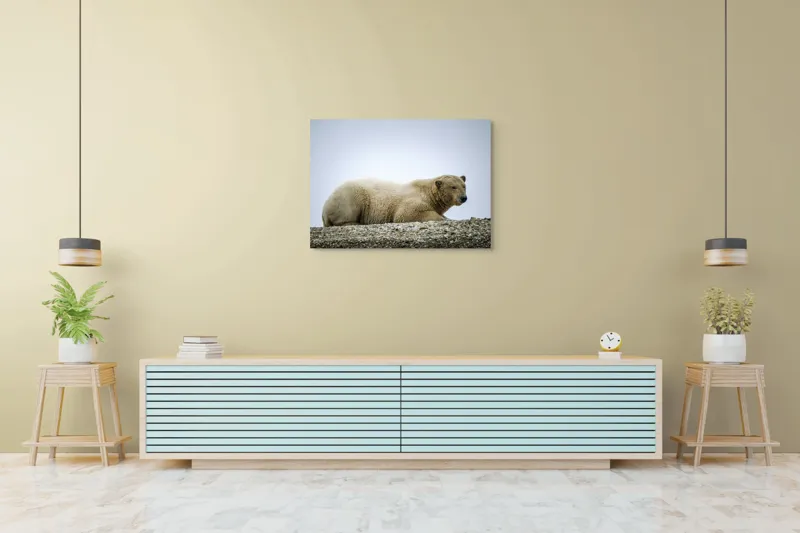 Tablou Canvas, "Urs polar odihnindu-se pe ghețar", 100 x 70 cm – poza 4