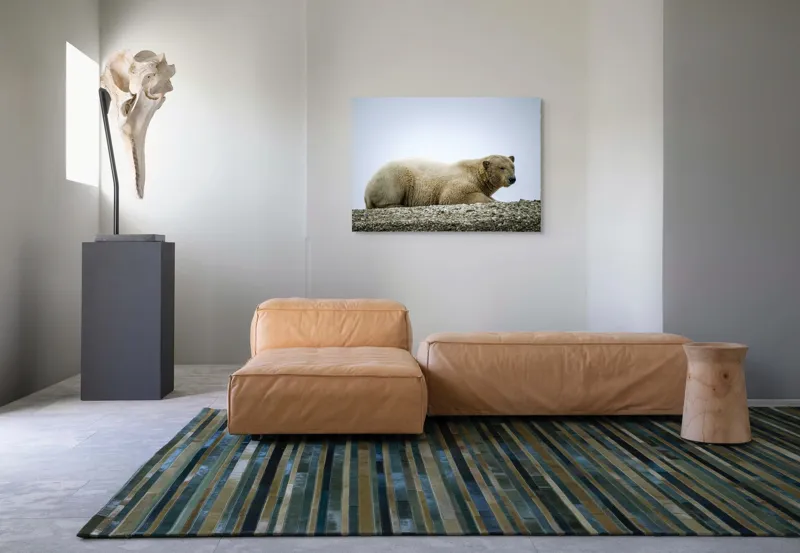Tablou Canvas, "Urs polar odihnindu-se pe ghețar", 100 x 70 cm – poza 7