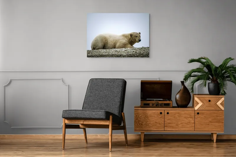Tablou Canvas, "Urs polar odihnindu-se pe ghețar", 100 x 70 cm – poza 8