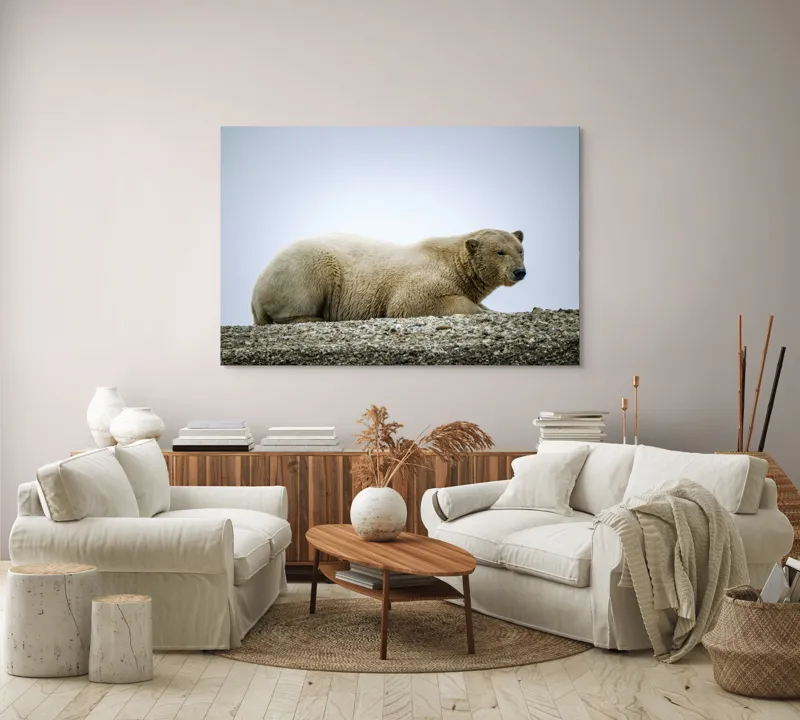 Tablou Canvas, "Urs polar odihnindu-se pe ghețar", 150 x 100 cm – poza 3
