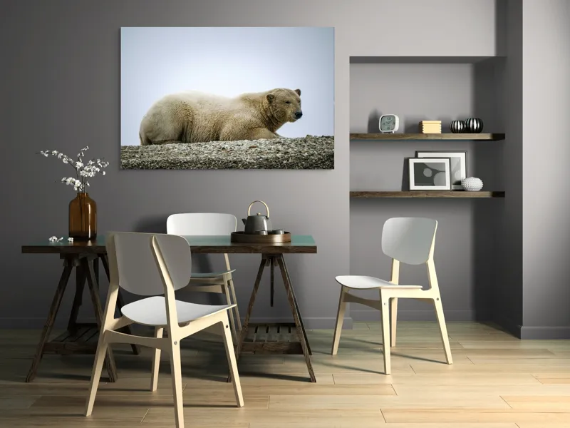 Tablou Canvas, "Urs polar odihnindu-se pe ghețar", 150 x 100 cm – poza 5