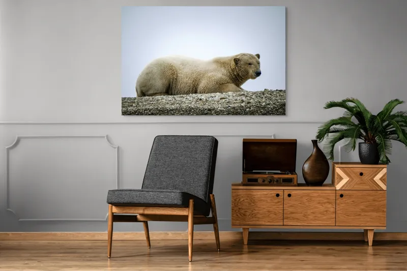 Tablou Canvas, "Urs polar odihnindu-se pe ghețar", 150 x 100 cm – poza 8