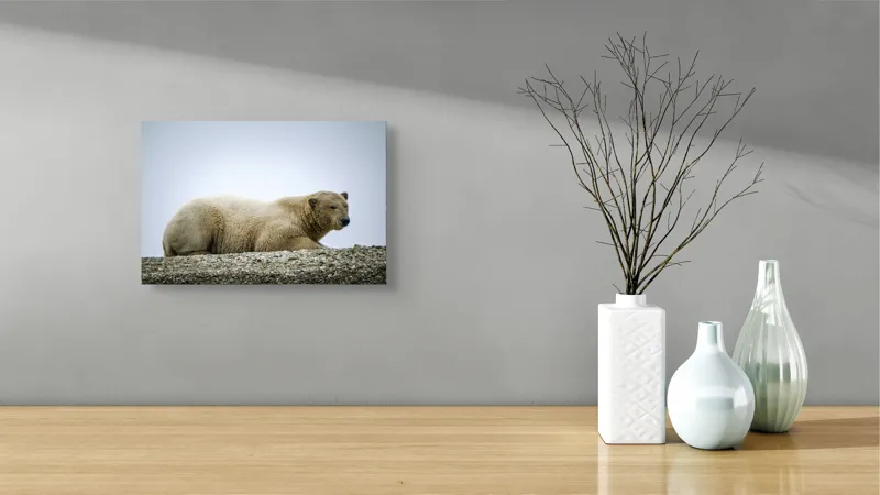 Tablou Canvas, "Urs polar odihnindu-se pe ghețar", 39 x 26 cm – poza 8