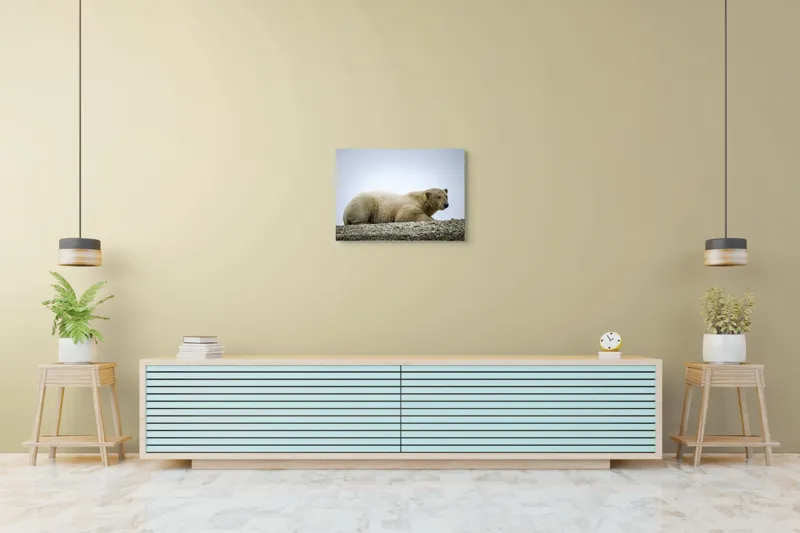 Tablou Canvas, "Urs polar odihnindu-se pe ghețar", 70 x 50 cm – poza 7