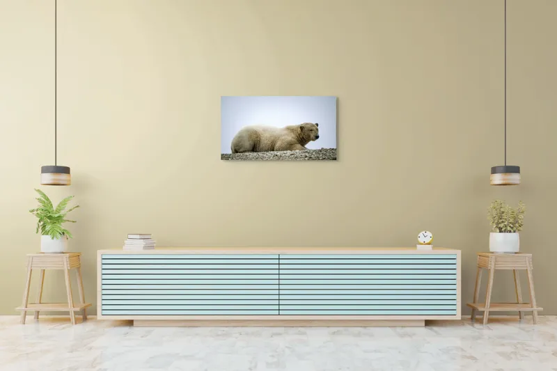 Tablou Canvas, "Urs polar odihnindu-se pe ghețar", 90 x 50 cm – poza 5