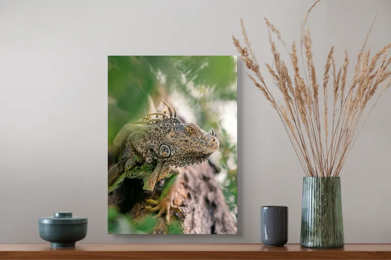 Tablou Canvas, "Iguana printre frunze și crengi", Verde, Reptilă, Trunchi, Textură, Frunziș, Detalii, Natură, Primate, Culoare, Explorare, 39 x 54 cm – poza 3